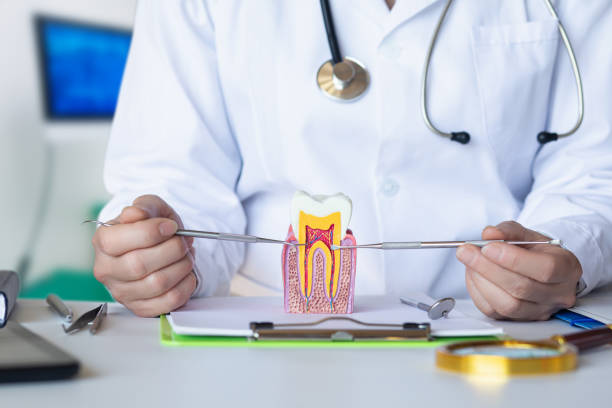 Best Emergency Tooth Extraction in Panther Valley, NJ